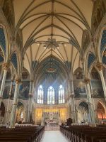 C3881A37-0D67-431D-8639-8D235ECB71D7