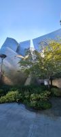 Walt Disney Concert Hall - Los Angeles