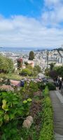 Lombard Street - San Francisco