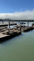 Pier 39 -  San Francisco