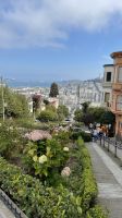 Stadtrundfahrt -  San Francisco - Lombard Street