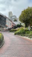 Stadtrundfahrt -  San Francisco - Lombard Street