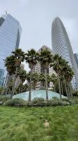 San Francisco - Stadtspaziergang - Salesforce Park