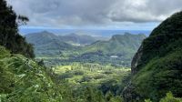 Inselrundfahrt auf O´ahu - Pali Lockout