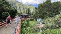 Inselrundfahrt auf O´ahu - Besuch des Byodo-In-Tempel