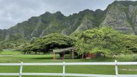 Inselrundfahrt auf O´ahu - Mittagspause auf der Kualoa Ranch