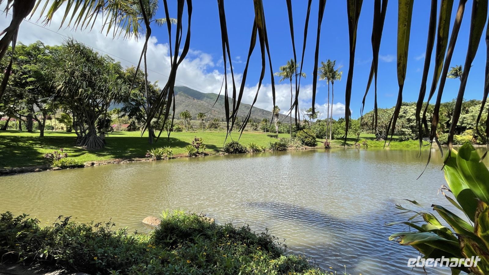 Inselrunfahrt auf Maui - Pause an einer Plantage