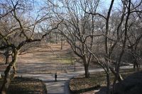 2. Tag - Stadtrundfahrt in New York - Central Park (1)