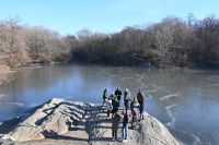 2. Tag - Stadtrundfahrt in New York - Central Park (4)