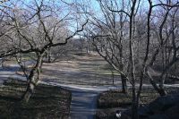 2. Tag - Stadtrundfahrt in New York - Central Park (5)