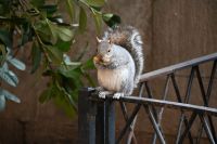 2. Tag - Stadtrundfahrt in New York (22)