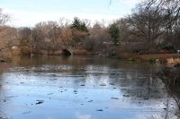 6. Tag - New York - Central Park (2)