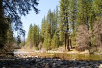207 Wawona Fluss