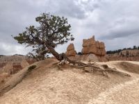 Bryce Canyon 