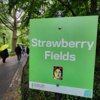 Städtereise New York - Stadtrundfahrt - John Lennon-Gedenkmosaik