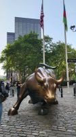 Städtereise New York - Finanzviertel mit Charging Bull