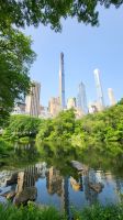 Städtereise New York - Spaziergang im Central Park