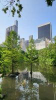 Städtereise New York - Spaziergang im Central Park