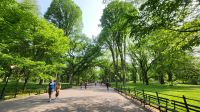 Städtereise New York - Spaziergang im Central Park