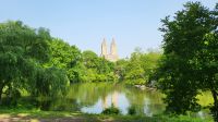 Städtereise New York - Spaziergang im Central Park