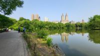 Städtereise New York - Spaziergang im Central Park