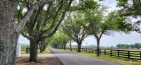 44 Southfork Ranch