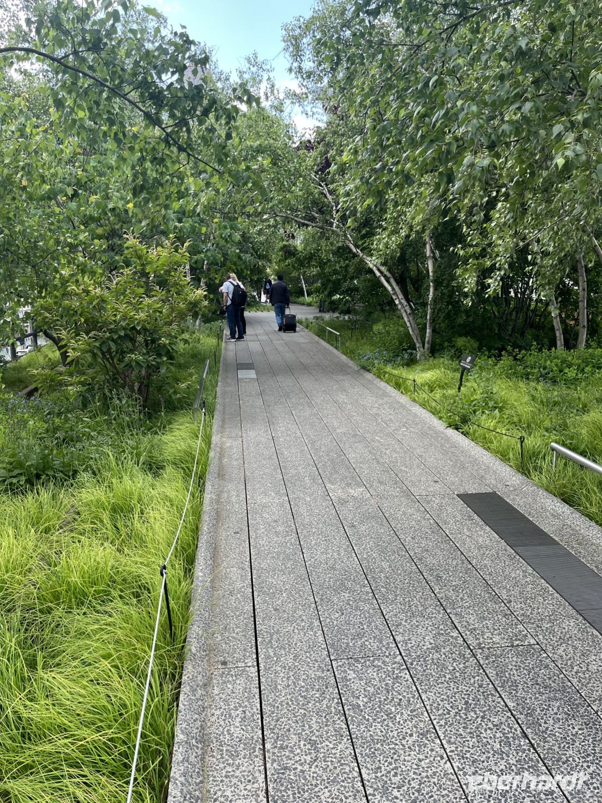 High Line Park