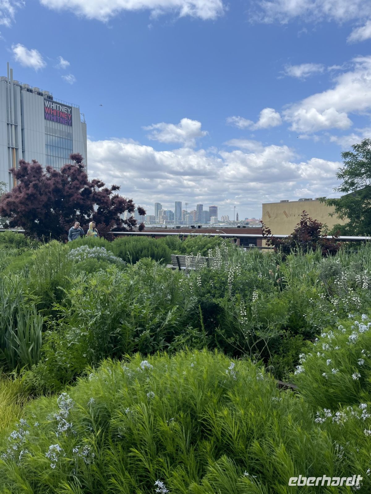 High Line Park