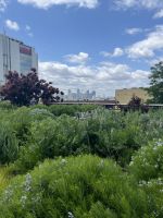 High Line Park