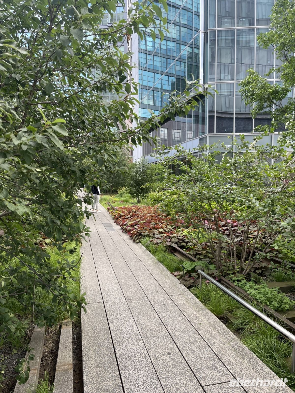 High Line Park
