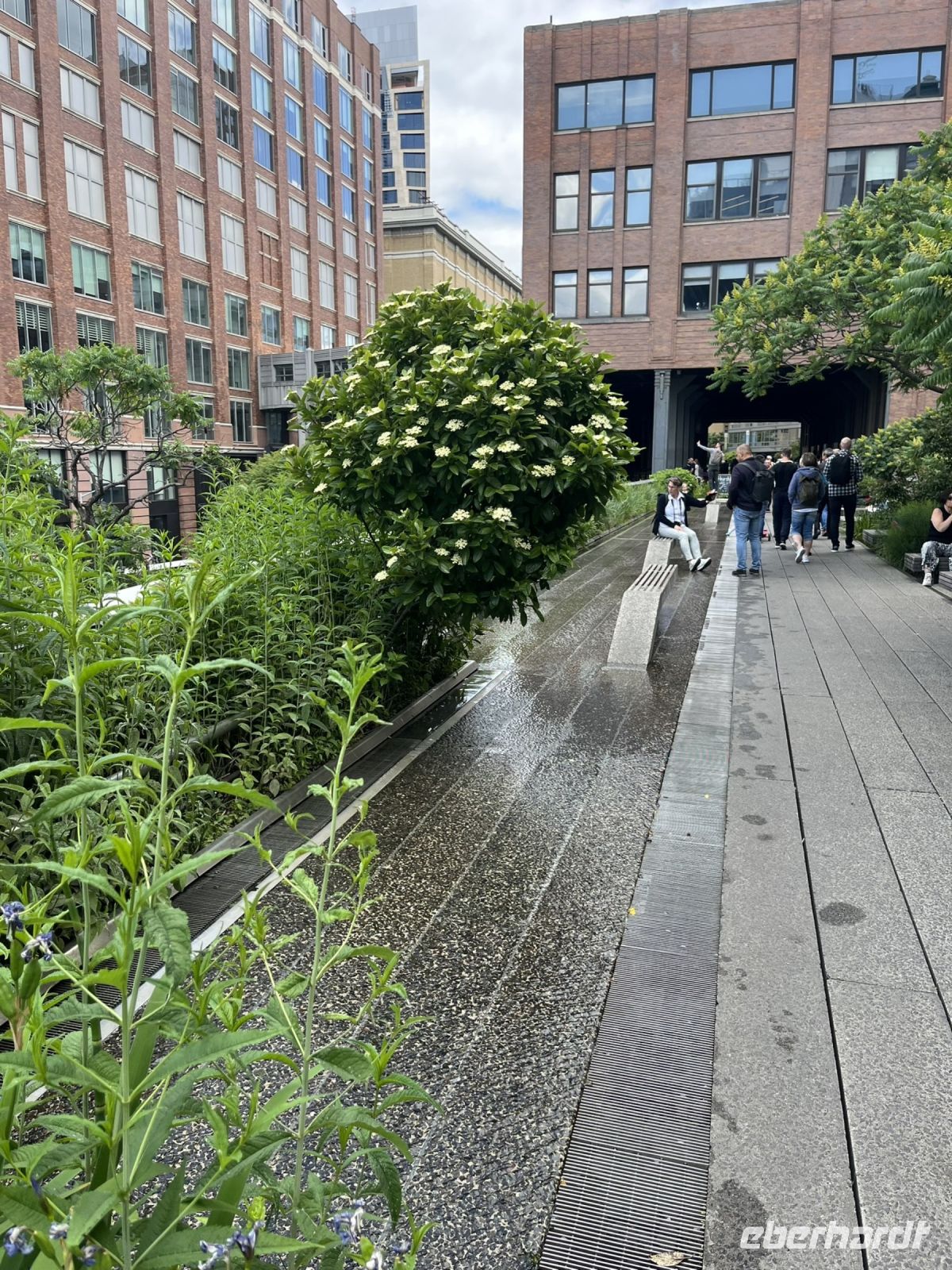 High Line Park