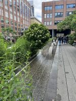 High Line Park