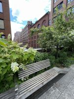 High Line Park
