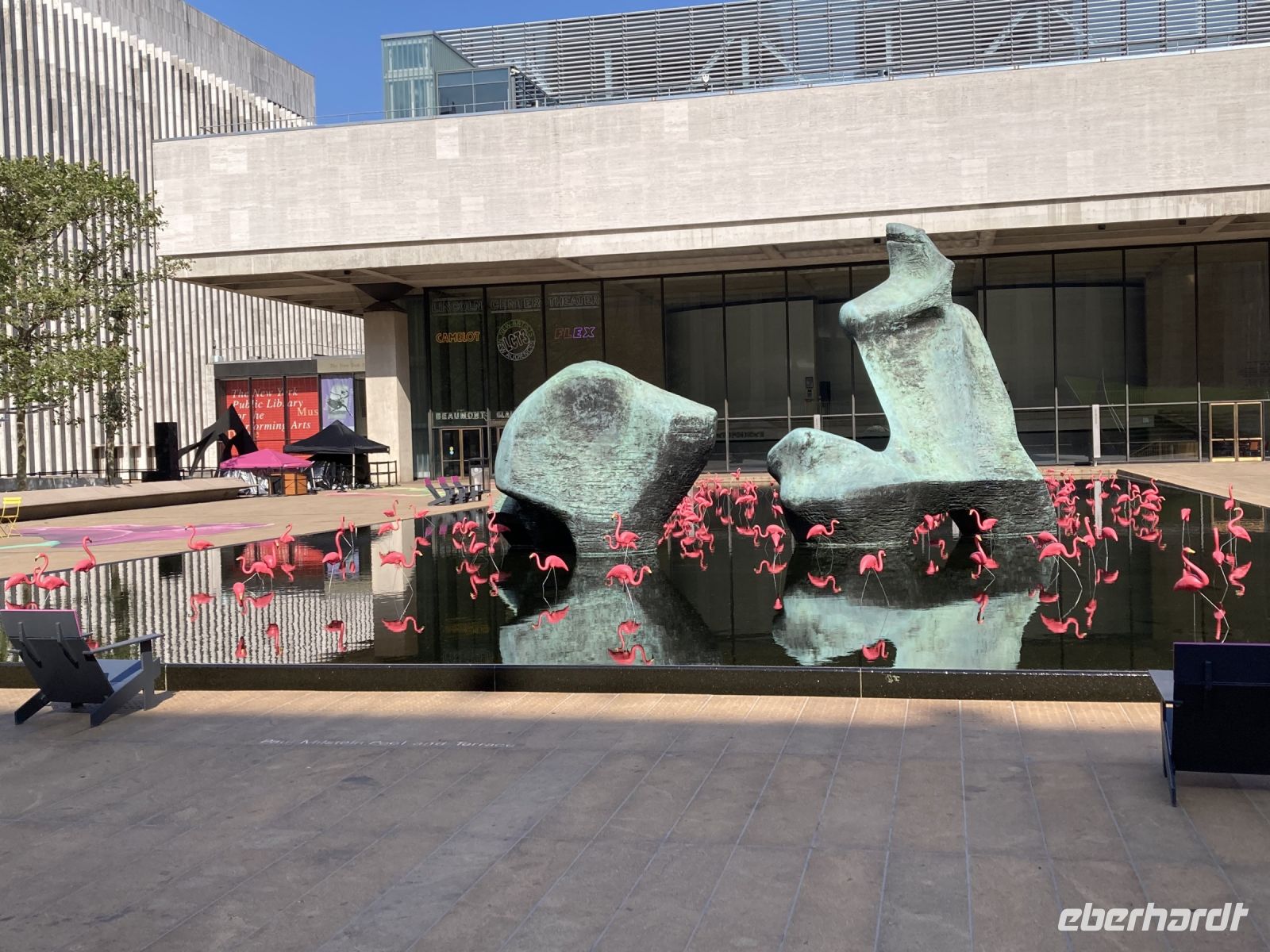 Pretty Flamingos am Lincoln Center