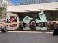 Pretty Flamingos am Lincoln Center