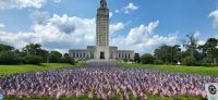 214 Fahnen für gefallene US Soldaten 