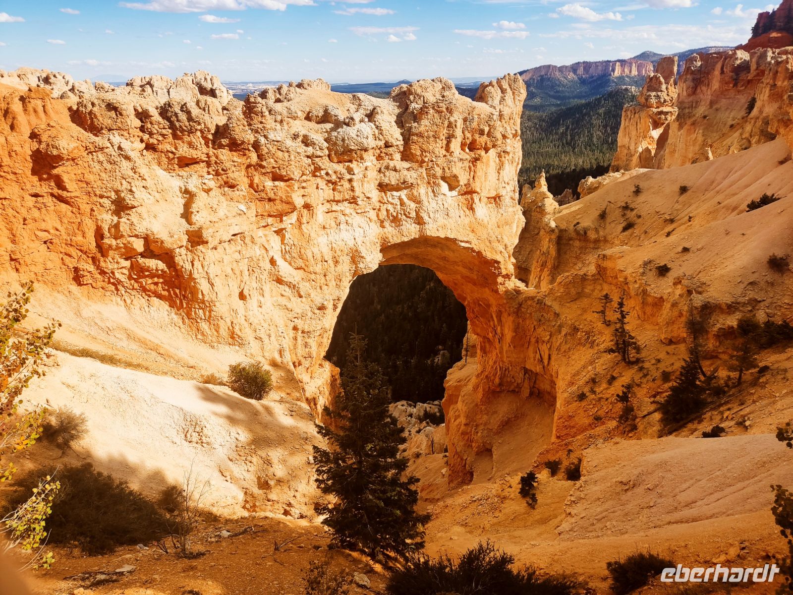 2. Bryce Canyon National Park (7)