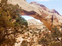 3. Capitol Reef National Park (2)