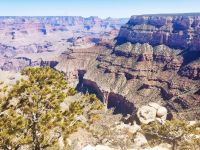 13. Grand Canyon National Park (1)