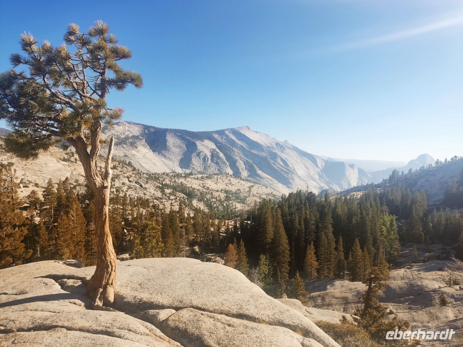 20. Yosemite National Park (8)