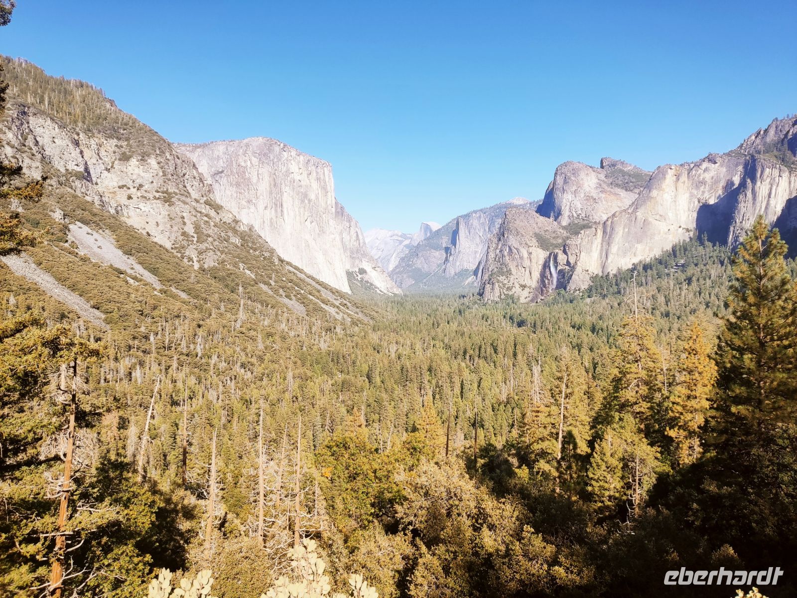 20. Yosemite National Park (12)