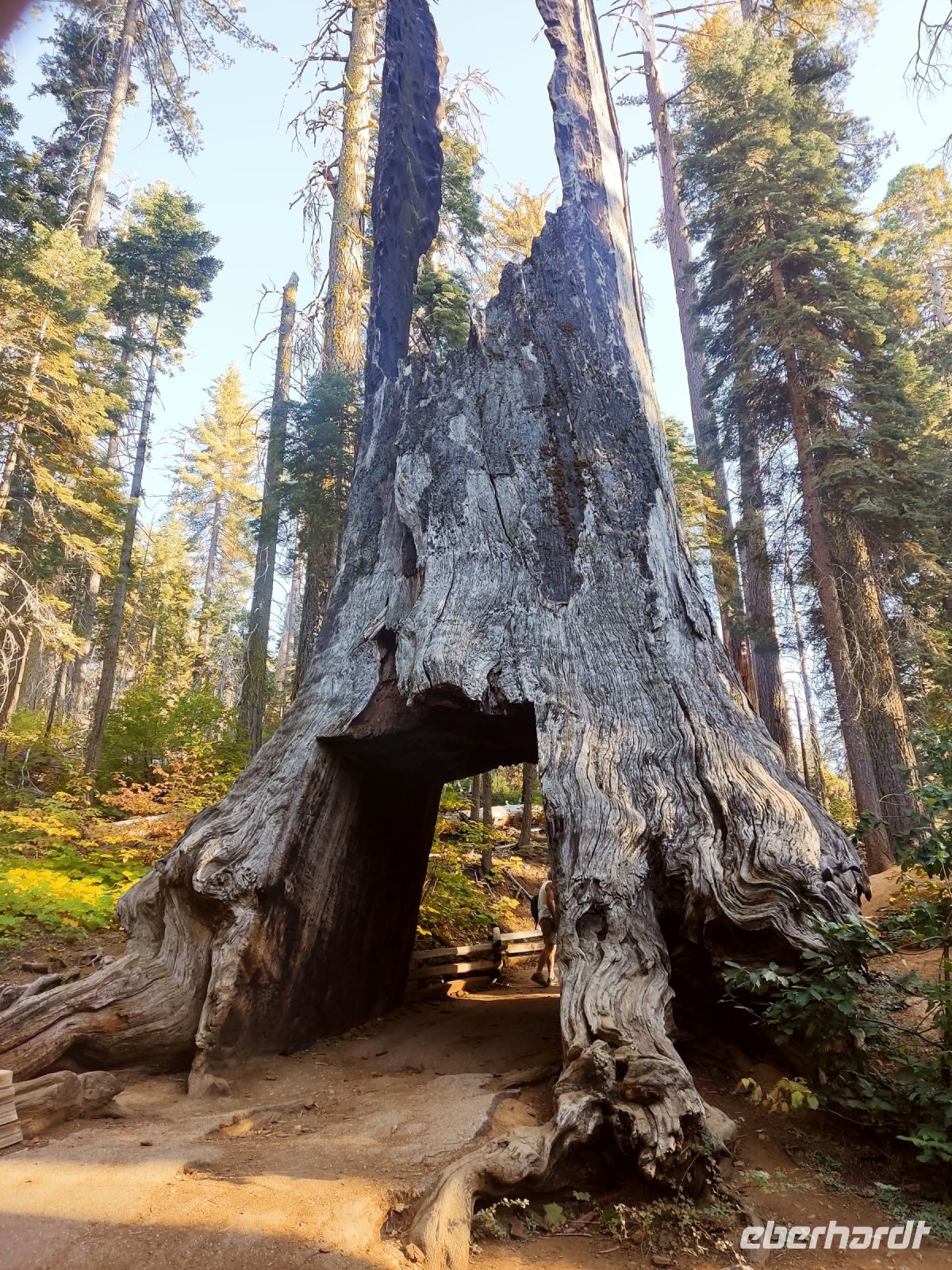 20. Yosemite National Park (13)