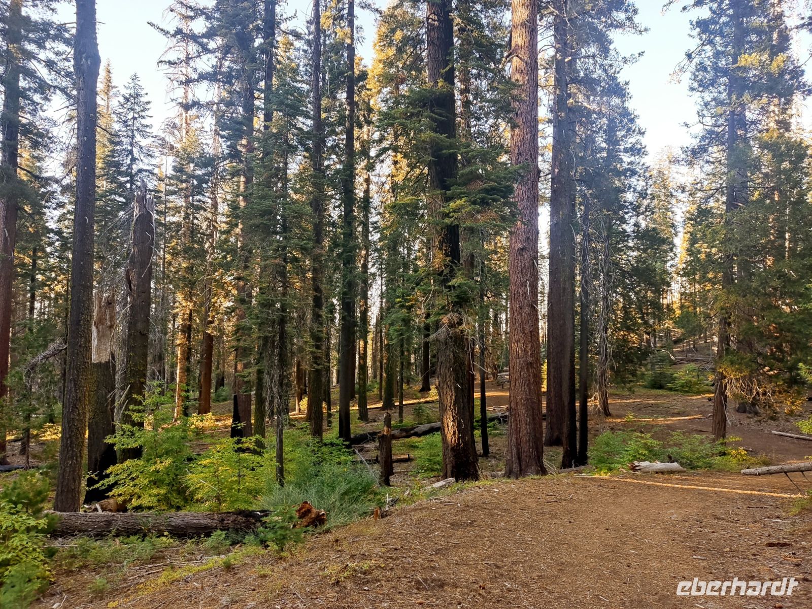 20. Yosemite National Park (14)