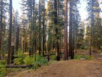 20. Yosemite National Park (14)