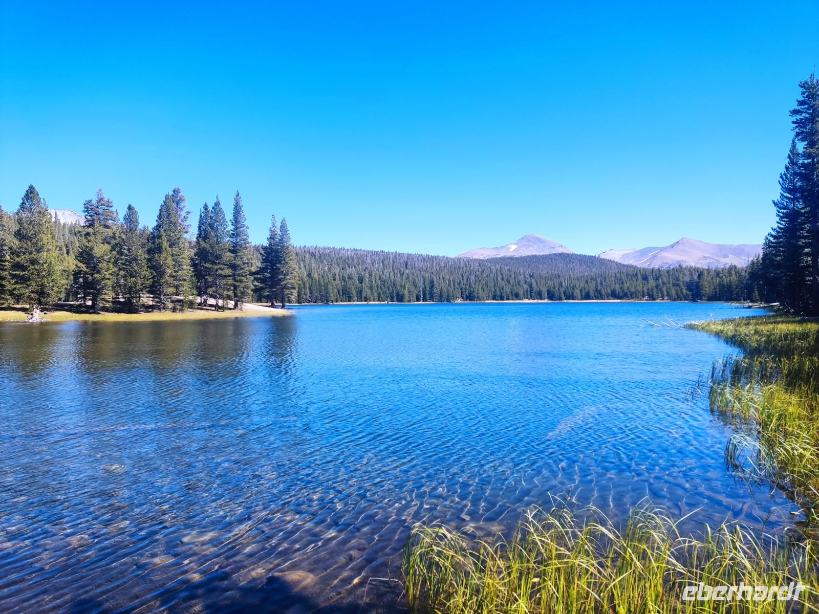 20. Yosemite National Park (16)