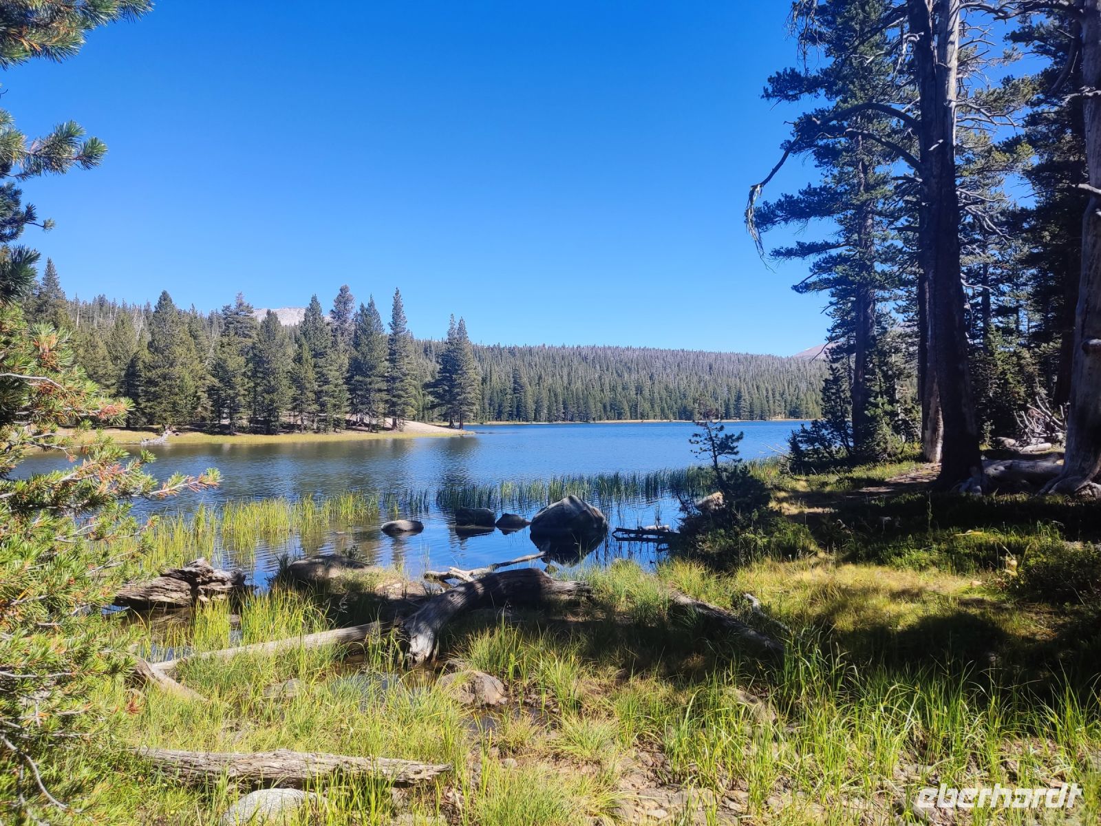 20. Yosemite National Park (17)