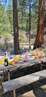 220 Picknick im Yosemite NP
