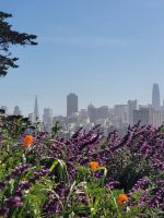 007 San Fransisco - Downtown