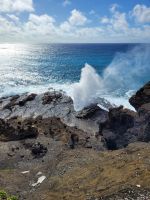 015 Hawaii - Inselrundfahrt Oahu