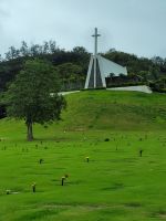 016 Hawaii - Inselrundfahrt Oahu